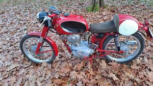 Morini  