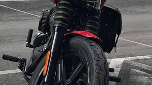 Harley-Davidson Street Bob 114 (2021 - 24) 