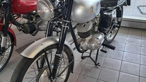 Bianchi  