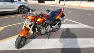 Honda Hornet 600 (2005 - 06) 