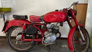 Benelli  