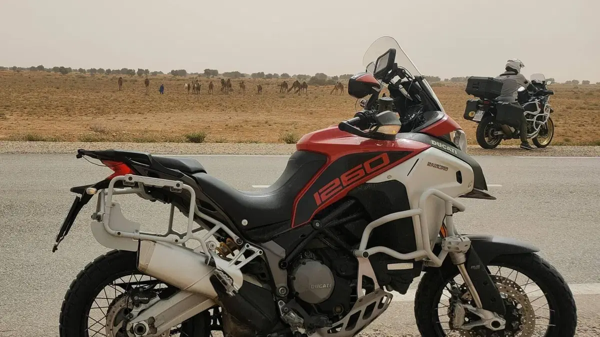 Ducati Multistrada 1260 Enduro (2019 - 21)  (2)