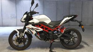 Benelli BN 125 (2021 - 25) 
