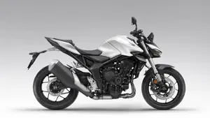 Honda CB 1000 Hornet (2025 - 26)  (6)
