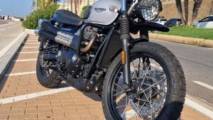 Triumph Street Scrambler 900 (2019 - 20) 