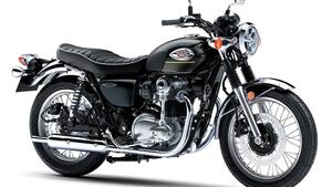 Kawasaki W 800 (2021 - 25) 