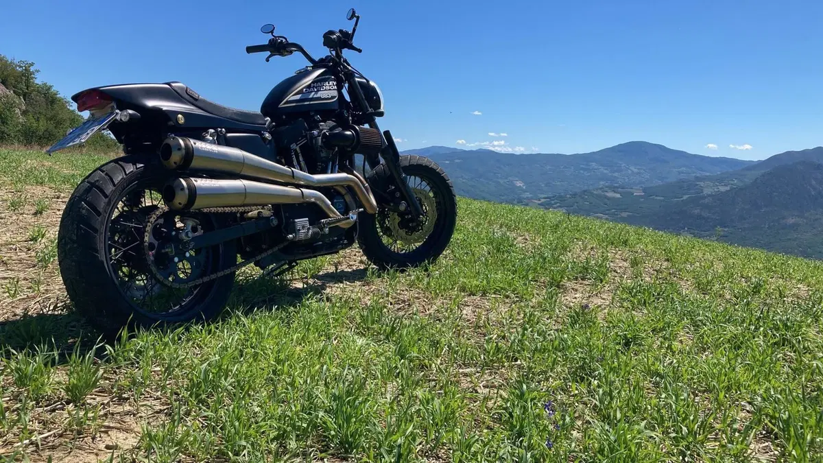 Harley-Davidson 1200 Sport (1996 - 00) - XL 1200S  (9)