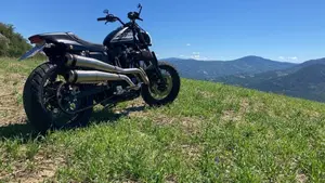 Harley-Davidson 1200 Sport (1996 - 00) - XL 1200S  (9)