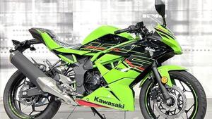 Kawasaki Ninja 125 (2021 - 25) 
