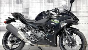 Kawasaki Ninja 500 (2024 - 25) 