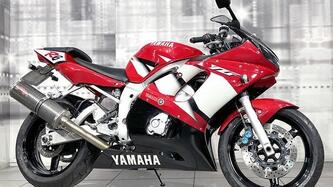 Yamaha YZF R6 (2001 - 02) usata