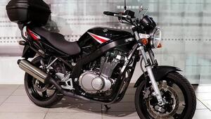 Suzuki GS 500 (2001 - 06) 