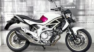 Suzuki Gladius 650 SFV (2009 - 15) 