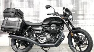 Moto Guzzi V7 Stone (2021 - 24) 