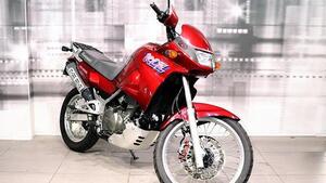 Kawasaki KLE 500 (1991 - 00) 