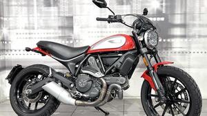 Ducati Scrambler 800 Icon (2017 - 20) 