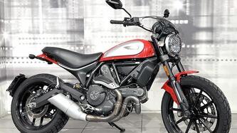 Ducati Scrambler 800 Icon (2017 - 20) usata