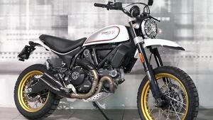 Ducati Scrambler 800 Desert Sled (2017 - 20) 