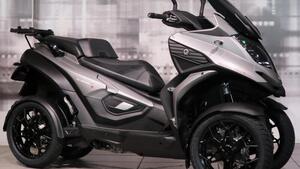 Quadro Quadro 4 (2015 - 17) 