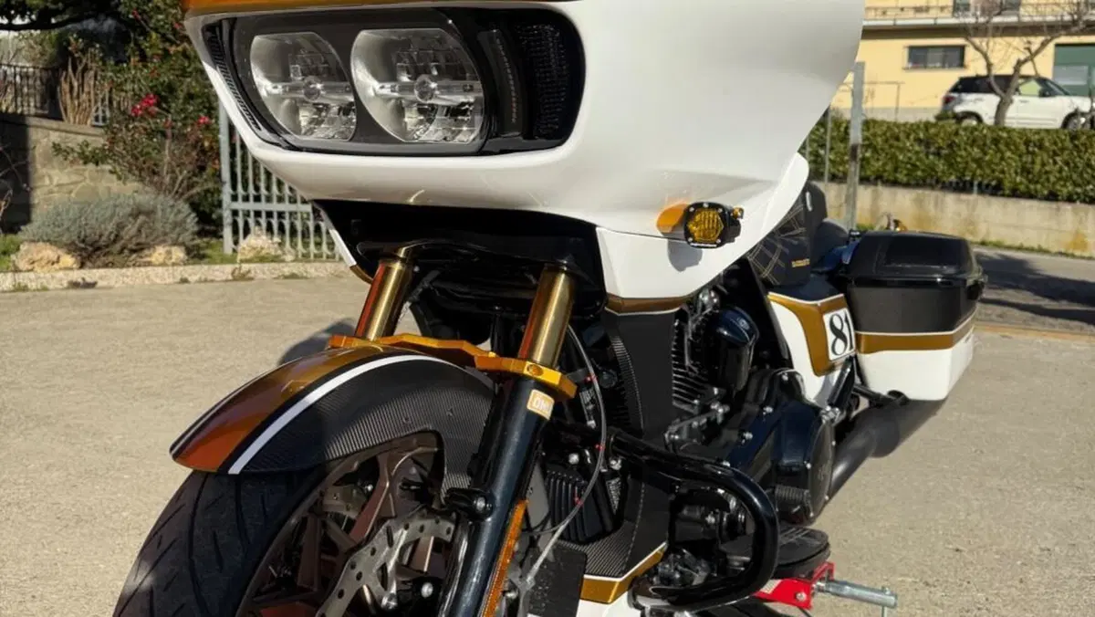 Harley-Davidson Road Glide ST (2022 - 23)  (7)