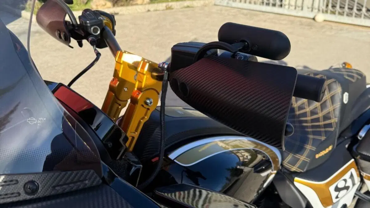 Harley-Davidson Road Glide ST (2022 - 23)  (10)