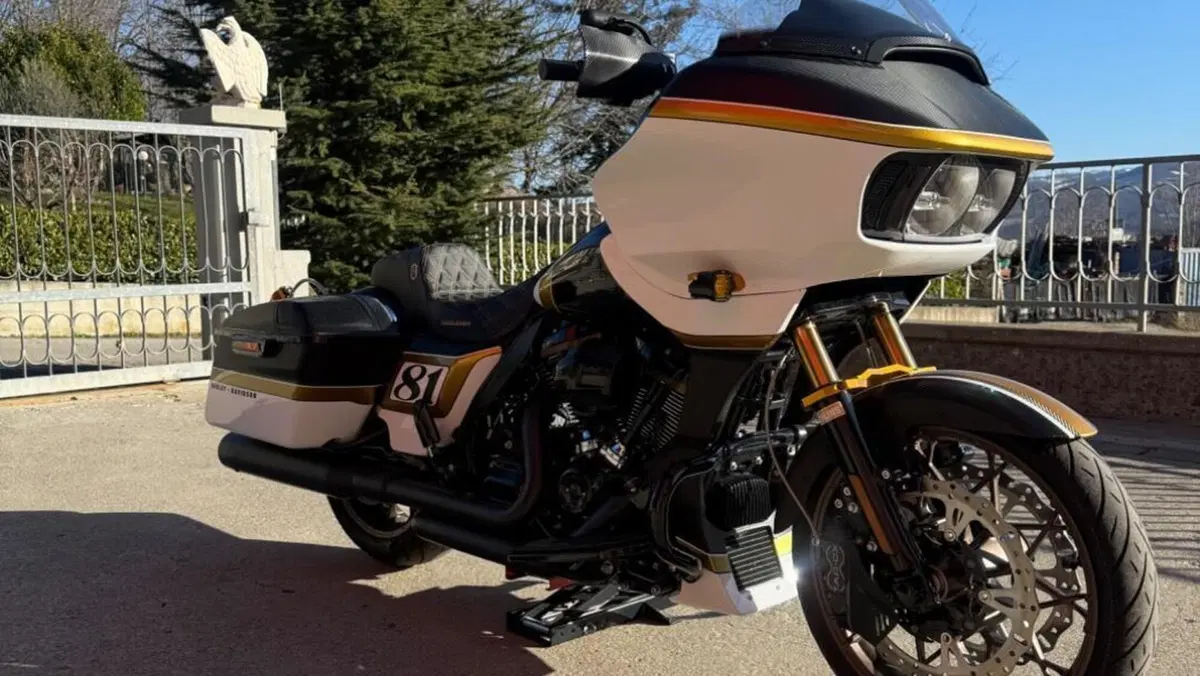 Harley-Davidson Road Glide ST (2022 - 23)  (11)