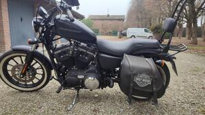 Harley-Davidson 883 Iron (2009 - 11) - XL 883N 