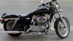 Harley-Davidson 883 Custom (2001 - 05) - XL 53C 