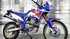 Honda NX 650 Dominator (1988 - 90) 