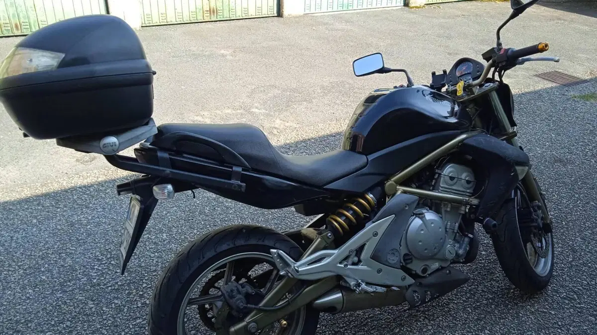 Kawasaki ER-6N (2005 - 08)  (12)