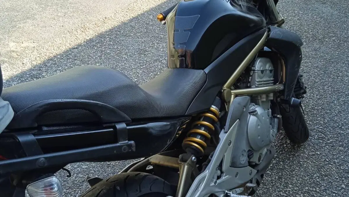 Kawasaki ER-6N (2005 - 08)  (13)
