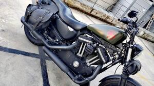 Harley-Davidson 883 Iron (2009 - 11) - XL 883N 