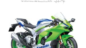 Kawasaki Ninja 1000 ZX-10R 40th Anniversary Edition (2024) 