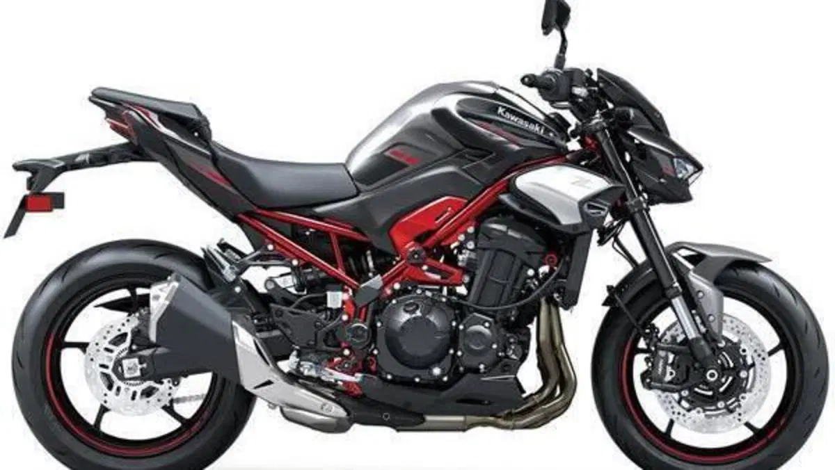 Kawasaki Z 900 (2025 - 26)  (4)