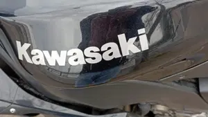Kawasaki Ninja 1000 ZX-10R (2004 - 05)  (3)