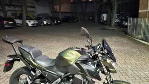 Kawasaki Z 650 (2017 - 19)  (2)