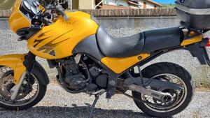 Triumph Tiger 900 
