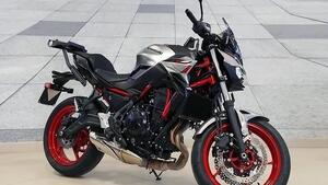 Kawasaki Z 650 (2021 - 24) 