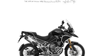 Triumph Tiger 1200 Rally Explorer (2024 - 25) nuova