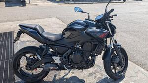 Kawasaki Z 650 (2021 - 24) 