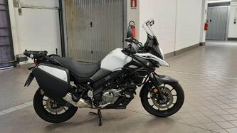 Suzuki SV650 (2021 - 25) usata