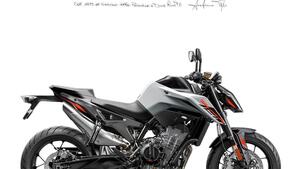 KTM 790 Duke L (2023 - 24) 