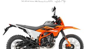 KTM 390 Enduro R (2025) 
