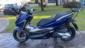 Honda Forza 350 (2022 - 24) 