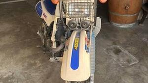 Kawasaki  