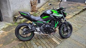 Kawasaki Z 650 (2021 - 24)