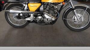 Norton  