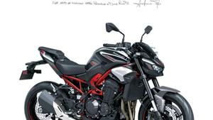 Kawasaki Z 900 A2 (2025) 