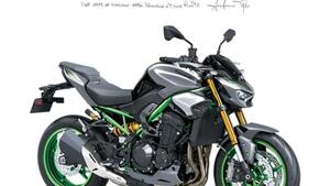 Kawasaki Z 900 (2021 - 24) 