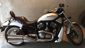Harley-Davidson 1250 Night Rod Special (2008 - 17) - VRSCDX 
